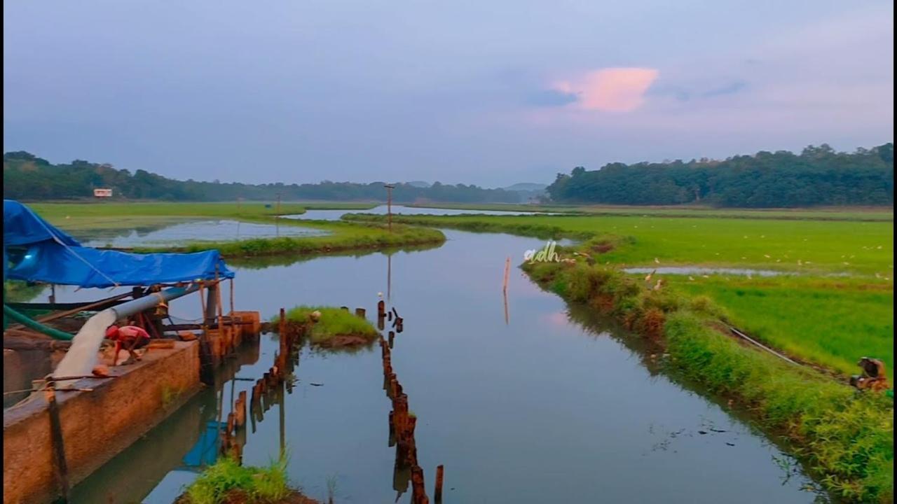 Hotel Gilead Holliday Tāmarakulam Zewnętrze zdjęcie